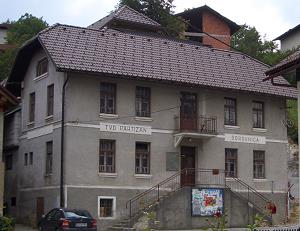 TVD Partizan, Borovnica